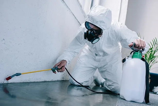 Profissional realizando aplicação externa com equipamento de proteção